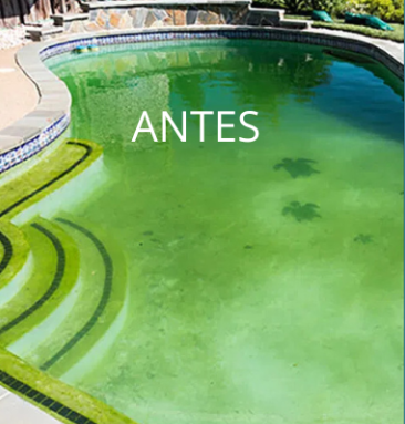 Antes da Cristalização